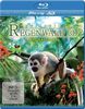 Faszination Regenwald 3D - Südamerika [3D Blu-ray]