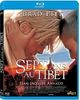 Sept ans au tibet [Blu-ray] [FR Import]