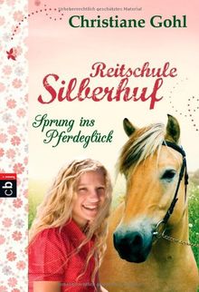 Reitschule Silberhuf - Sprung ins Pferdeglück