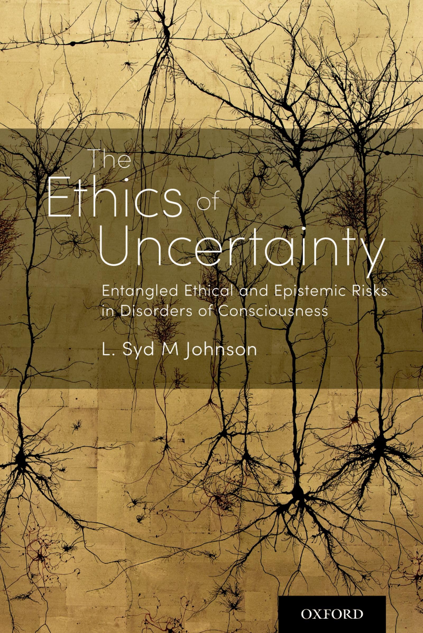Ethics of Uncertainty: Entangled Ethical and Epistemic Risks in Disorders of Consciousness