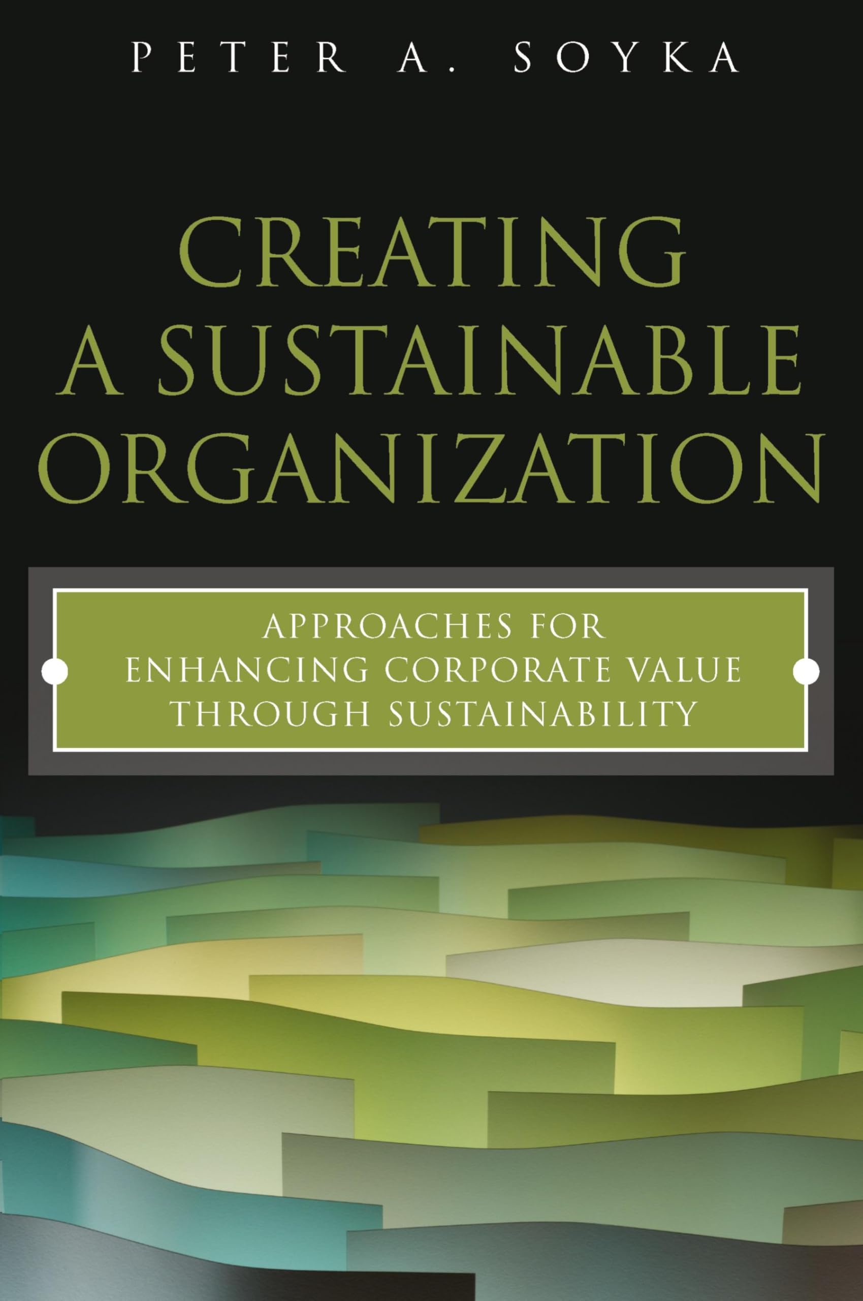 Creating a Sustainable Organization: Approaches for Enhancing Corporate Value Through Sustainability: Approaches for Enhancing Corporate Value Through ... (paperback) (Ft Press Operations Management)