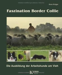 Faszination Border Collie: Die Ausbildung der Arbeitshunde am Vieh