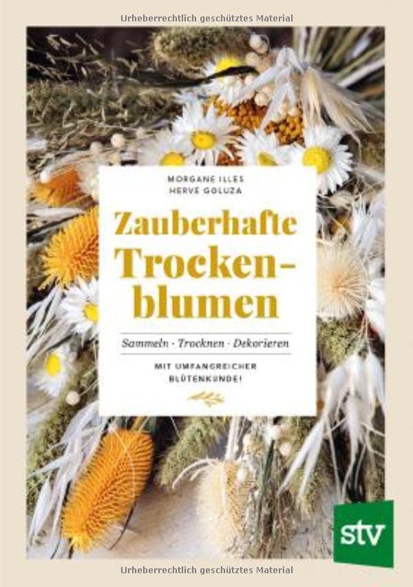 Zauberhafte Trockenblumen: Sammeln ∙ Trocknen ∙ Dekorieren
