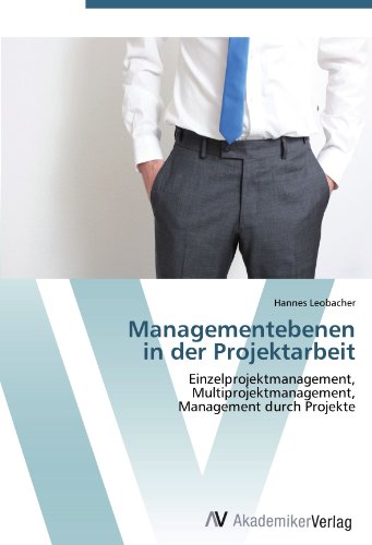 Managementebenen in der Projektarbeit: Einzelprojektmanagement, Multiprojektmanagement, Management durch Projekte
