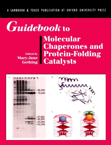 Guidebook To Molecular Chaperones And Protein-Folding Catalysts (Guidebook Series)