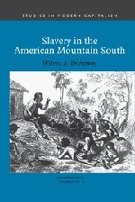Slavery in the American Mountain South (Studies in Modern Capitalism)