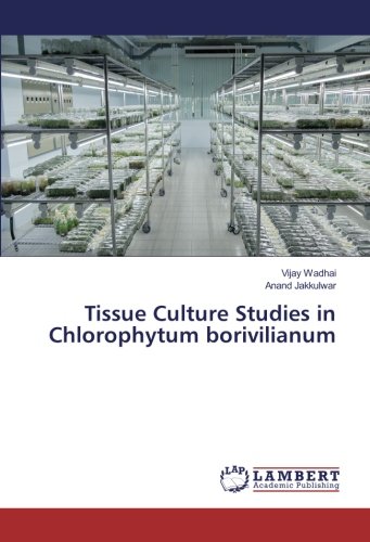 Tissue Culture Studies in Chlorophytum borivilianum