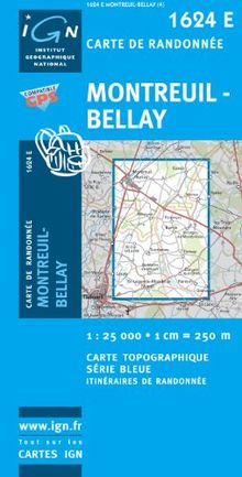 Montreuil-Bellay 2010