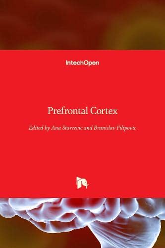 Prefrontal Cortex
