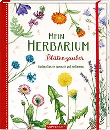 Mein Herbarium: Blütenzauber: Gartenpflanzen sammeln und bestimmen