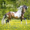 Horses 2023: Broschürenkalender mit Ferienterminen. Pferde und Ponys. 30 x 30 cm
