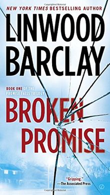 Broken Promise (Promise Falls Trilogy, Band 1)