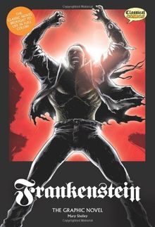 Frankenstein The Graphic Novel: Original Text (Classical Comics)