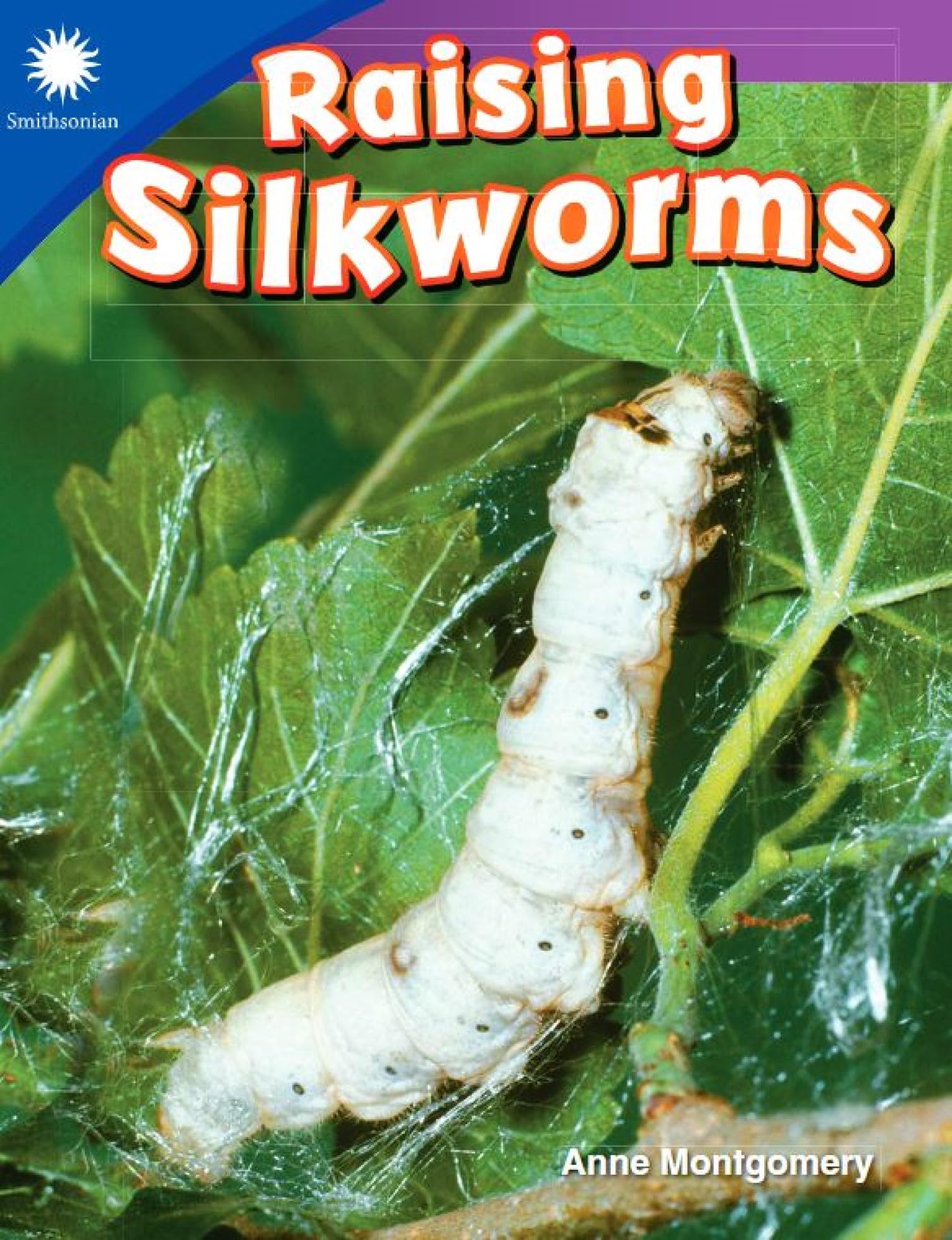 Raising Silkworms (Smithsonian Steam Readers)