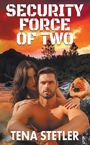Security Force of Two (Mountain Town Mysteries, Band 1)