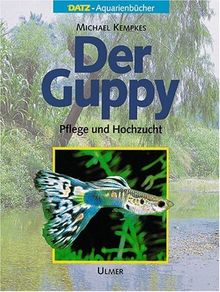 Der Guppy: Pflege und Hochzucht