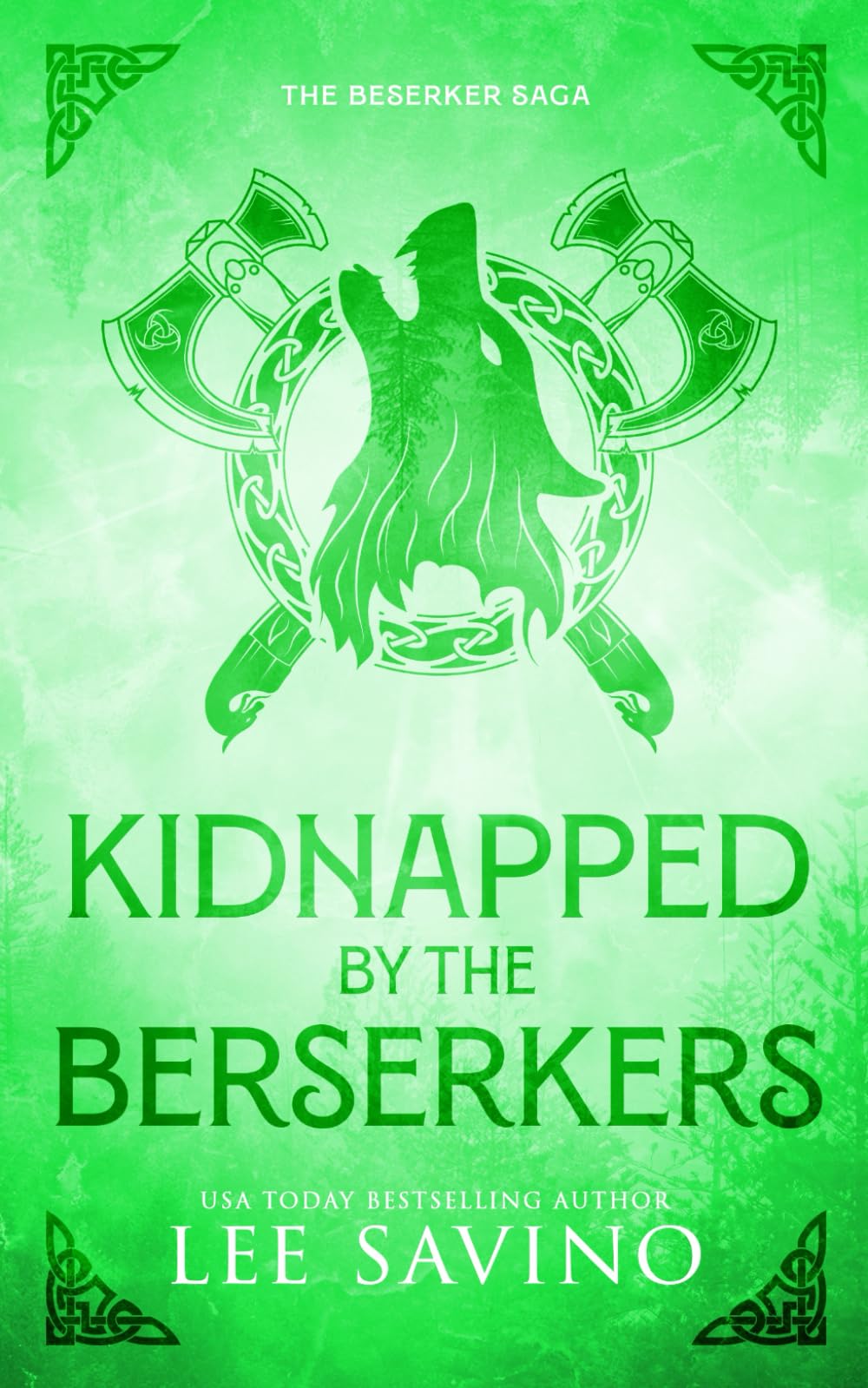 Kidnapped by the Berserkers Discreet Edition (Berserker Saga Discreet Editions, Band 8)