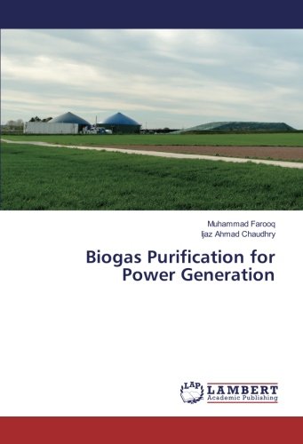 Biogas Purification for Power Generation