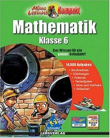 Alfons Lernwelt Kompakt - Mathematik 6