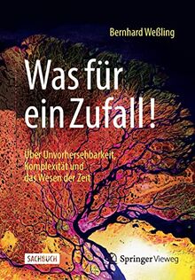 Was für ein Zufall!: Über Unvorhersehbarkeit, Komplexität und das Wesen der Zeit