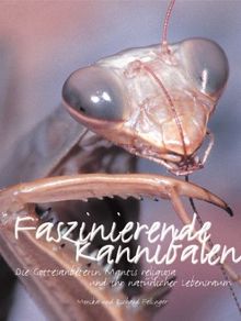 Faszinierende Kannibalen: Die Gottesanbeterin Mantis religiosa und ihr natürlicher Lebensraum