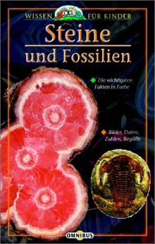 Wissen für Kinder. Steine und Fossilien