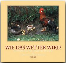 Wie das Wetter wird. Bauernregeln für heute neu entdeckt