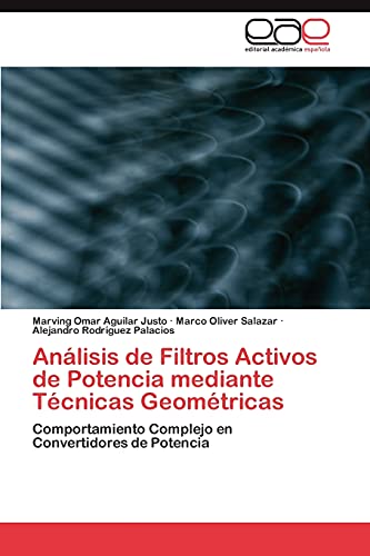 Análisis de Filtros Activos de Potencia mediante Técnicas Geométricas: Comportamiento Complejo en Convertidores de Potencia