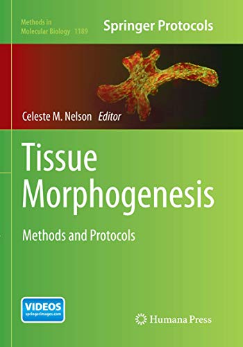 Tissue Morphogenesis: Methods and Protocols (Methods in Molecular Biology, Band 1189)