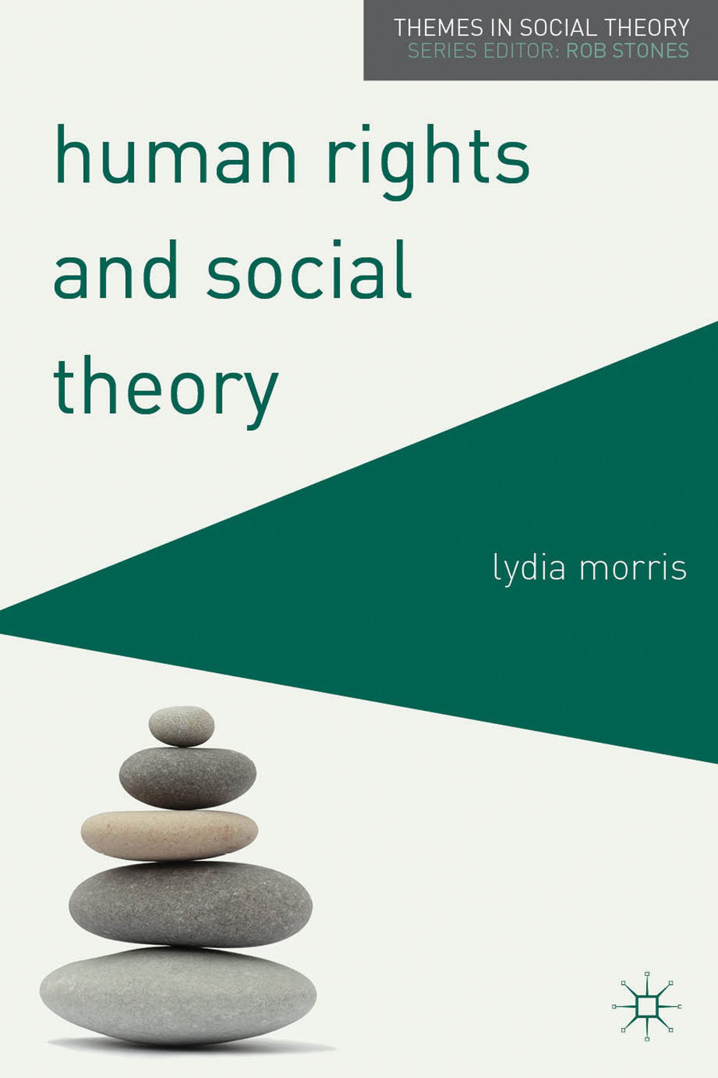 Human Rights and Social Theory (Themes in Social Theory)