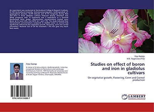 Studies on effect of boron and iron in gladiolus cultivars: On vegetative growth, Flowering, Corm and Cormel production