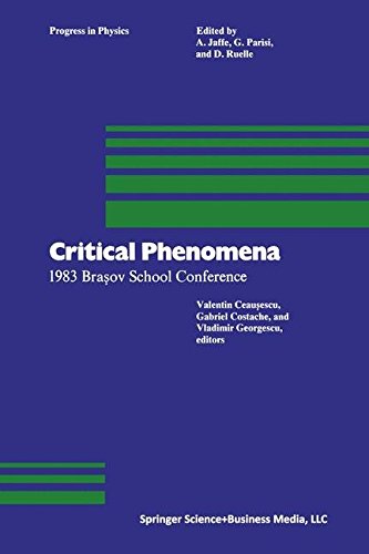 Critical Phenomena: 1983 Brasov School Conference (Progress in Mathematical Physics)