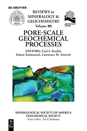 Pore Scale Geochemical Processes (Reviews in Mineralogy & Geochemistry, 80, Band 80)