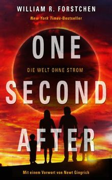 One Second After - Die Welt ohne Strom de William R. Forstchen | Livre | état très bon