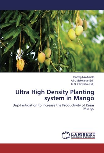 Ultra High Density Planting system in Mango: Drip-Fertigation to increase the Productivity of Kesar Mango