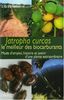 Jatropha curcas : le meilleur des biocarburants