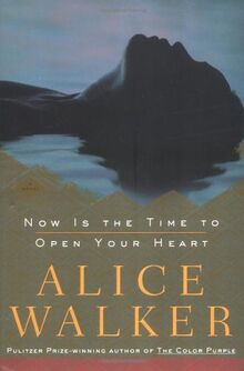 Now Is the Time to Open Your Heart: A Novel (Walker, Alice)