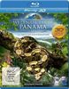 Weltnaturerbe Panama 3D - La Amistad Nationalpark (+ 2D Version) [Blu-ray 3D]