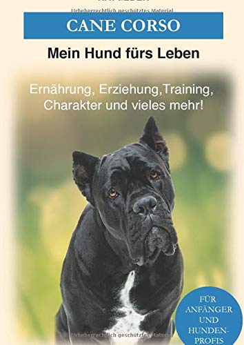 Cane Corso: Erziehung, Training, Charakter von Cane Corso - Der Cane Corso Ratgeber