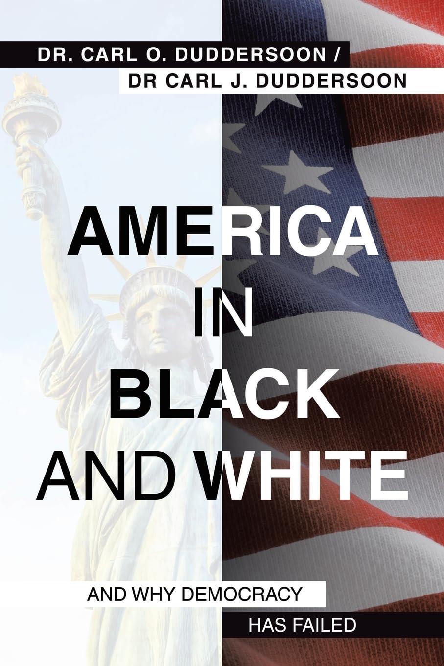 America in Black and White: And Why Democracy Has Failed
