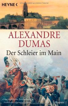 Der Schleier im Main: Roman