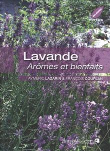 Lavande : arômes et bienfaits