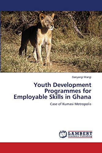 Youth Development Programmes for Employable Skills in Ghana: Case of Kumasi Metropolis
