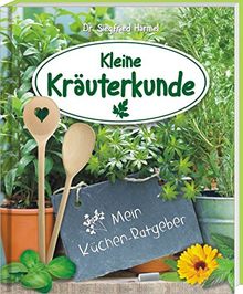Kleine Kräuterkunde: Mein Küchen-Ratgeber