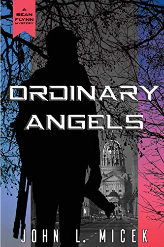 Ordinary Angels (Sean Flynn Mystery, Band 1)
