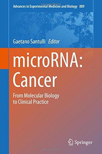 microRNA: Cancer: From Molecular Biology to Clinical Practice (Advances in Experimental Medicine and Biology)