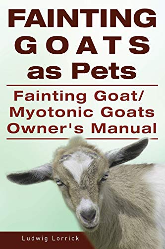 Ludwig Lorrick Fainting Goats As Pets. Fainting Goat Or Myotonic Goats Owners Manual