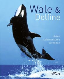 Wale & Delfine: Arten, Lebensräume, Verhalten