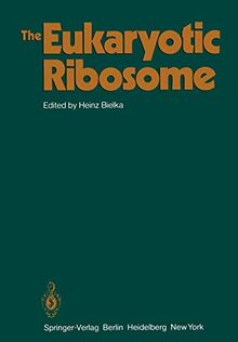 The Eukaryotic Ribosome