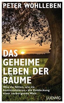 Das geheime Leben der Bäume: Was sie fühlen, wie sie kommunizieren - die Entdeckung einer verborgenen Welt von Wohlleben, Peter | Buch | Zustand sehr gut